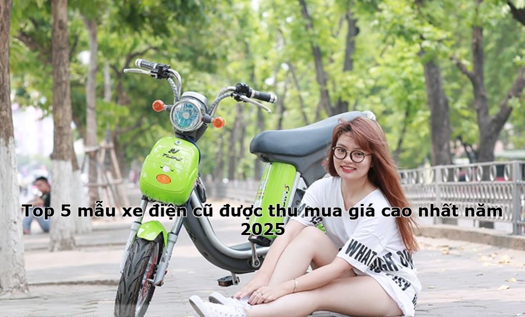 Top 5 mẫu xe điện cũ được thu mua giá cao nhất năm 2025