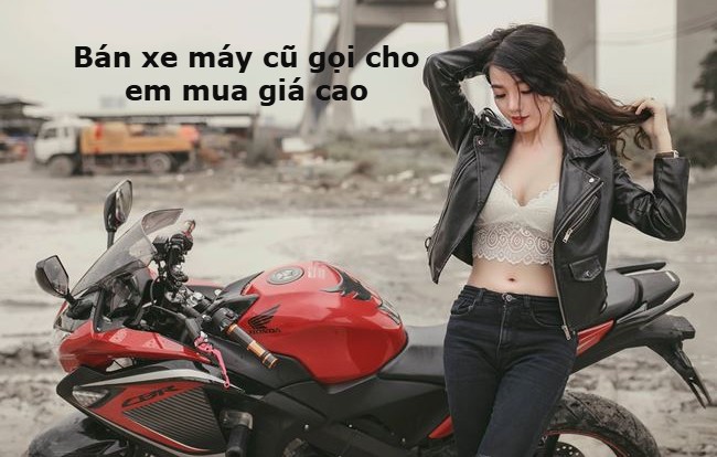 Thu mua nhanh chóng, giá cao